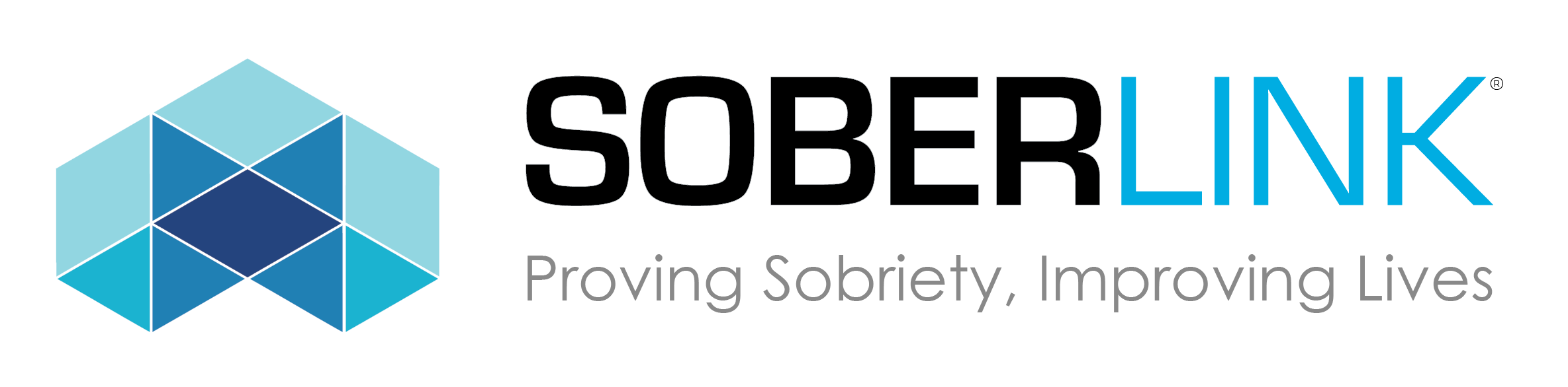 Sober Link logo